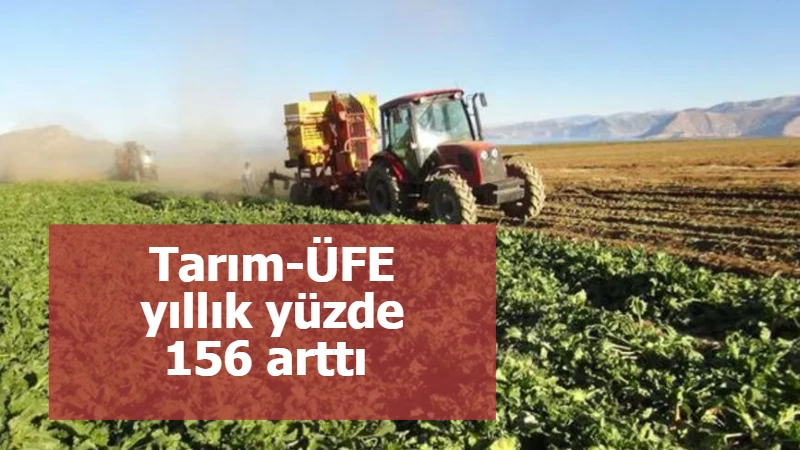 Tarım-ÜFE yıllık yüzde 156 arttı